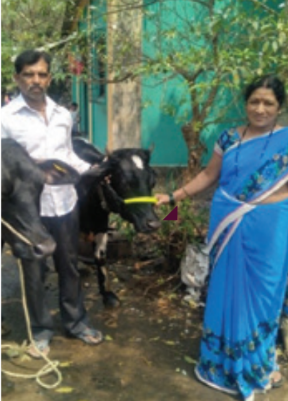 Success Stories
