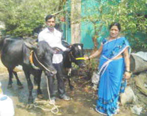 Success Stories